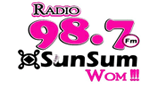 Sunsum FM 98.7