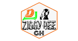 Dj Ziggy Bee pro GH